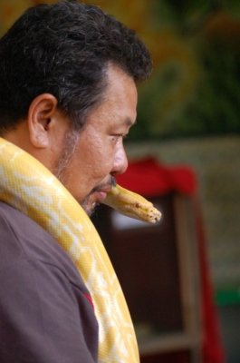 DSC_0936.jpg