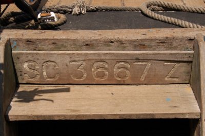 DSC_0312.jpg