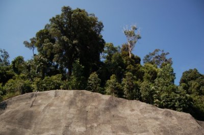 Tortoise Hill