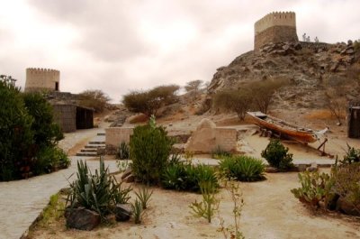 DSC_1016.jpg