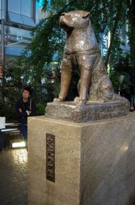 Hachiko Dog