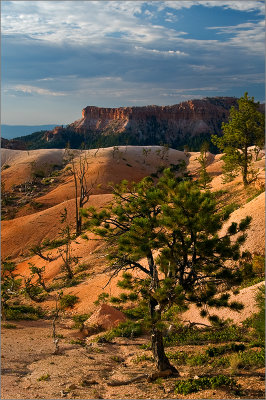 Dunes below Sunrise Point