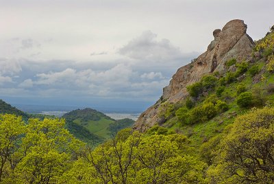 Bragg Canyon View