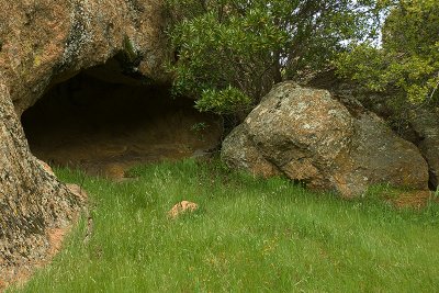 Shelter