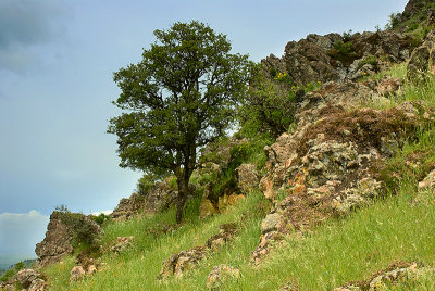 Maidu Spirit Rock