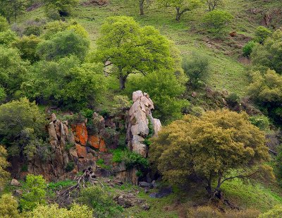 Hillside Rocks