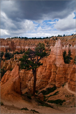 Storm in the Hoodoos