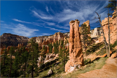 Along the Peekaboo Trail