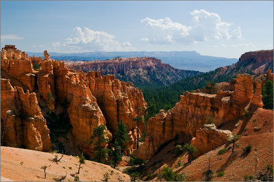 Hoodoo Vista