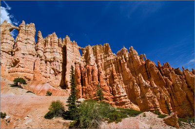 Wall of Windows