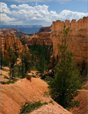 Down the Canyon