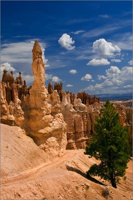 Hoodoos on Peekabo Trail