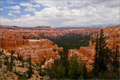 Heart of Bryce Canyon