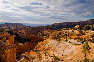 Dunes Vista
