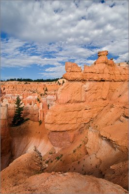 Hoodoos Below Sunrise Point