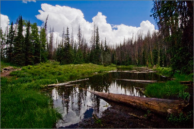 Alpine Pond 2