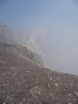 g3/31/364931/3/101981298.sDYul3Y5.jpg