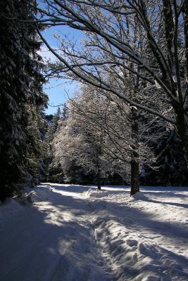 Kocieliska Valley