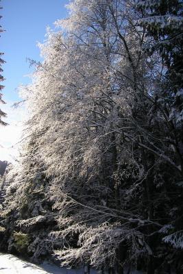 Winter scenery in Kocieliska Valley