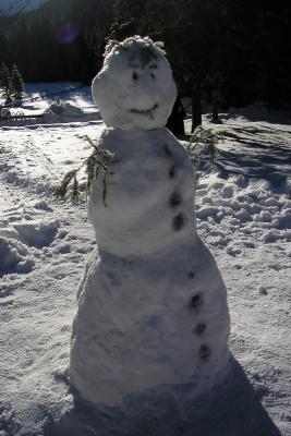Mr Snowman