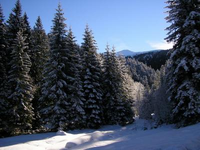 Kocieliska Valley