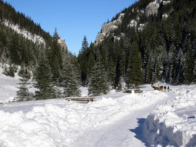 Kocieliska Valley