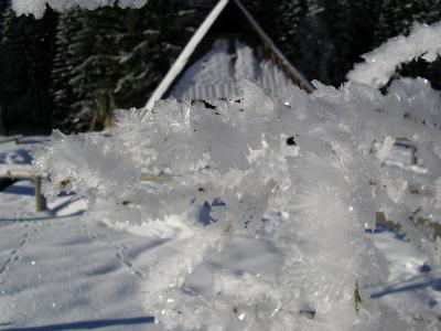 Kocieliska Valley