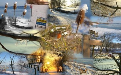 Frozen Draycote Collage