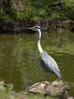 10-05-13_5580.jpg