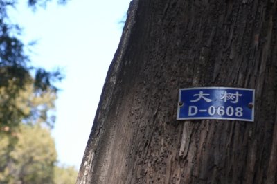 P1010167.JPG