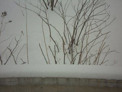 Jan-3-Heavy Snowing
