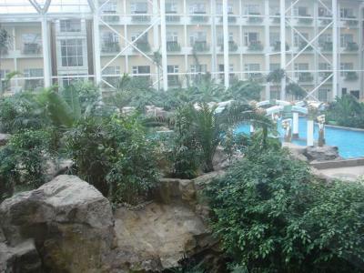 С DSC05211.JPG
