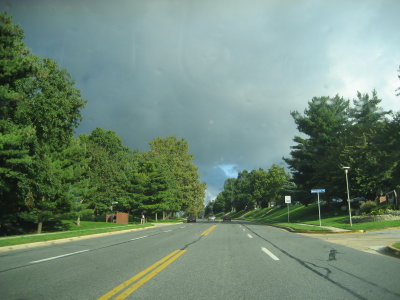 IMG_0554.JPG