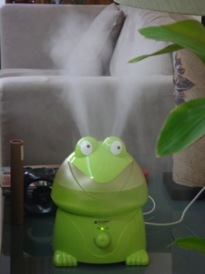 Nov-20-Frog