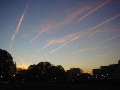 DSC03009.JPG