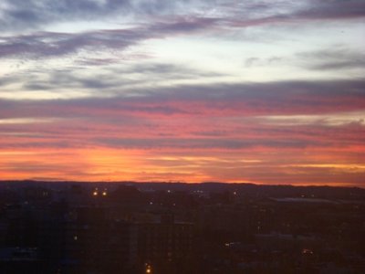 DSC03037.JPG