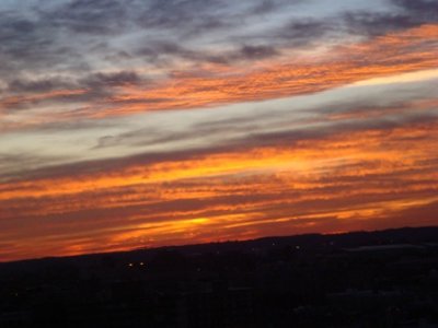 DSC03038.JPG