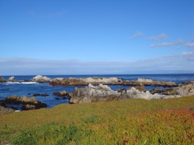 DSC03353.JPG