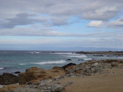 DSC03384.JPG