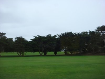 DSC03395.JPG