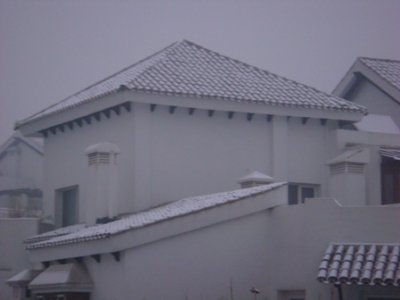 DSC03611.JPG
