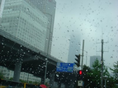 DSC06219.JPG