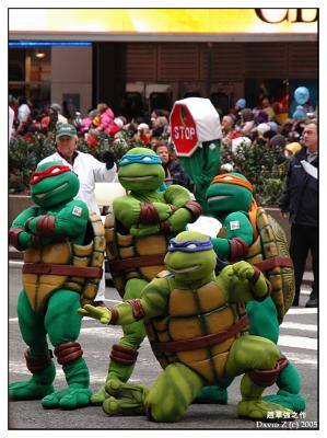 Ninja Turtle_3172.jpg
