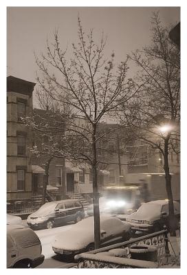 Snow Night_5320b.jpg