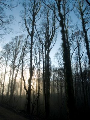 Kinglake and District - June 6th 2009