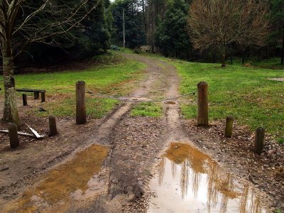 The actual start of the Australian Alpine Walking Track