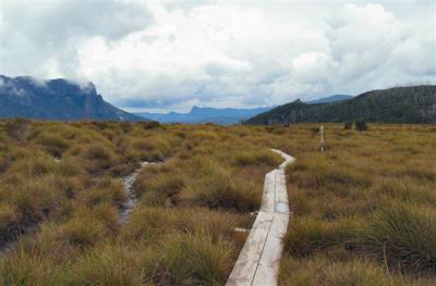 The track ahead