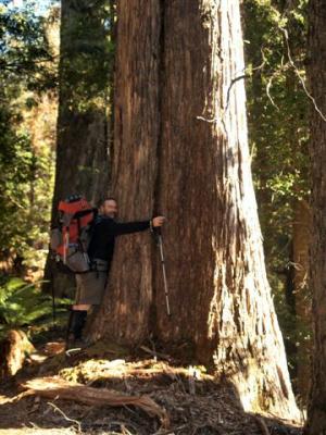 Robert the Tree Hugger