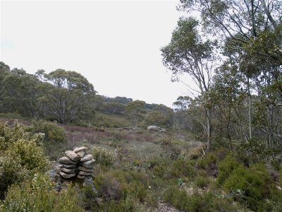 The trail into Mustering Flat