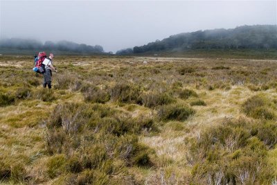 Robert crossing Mustering Flat in search of Jen's Hut